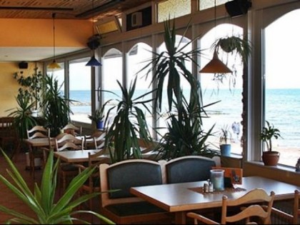 Фото: COOL SHARK - Beach Bar